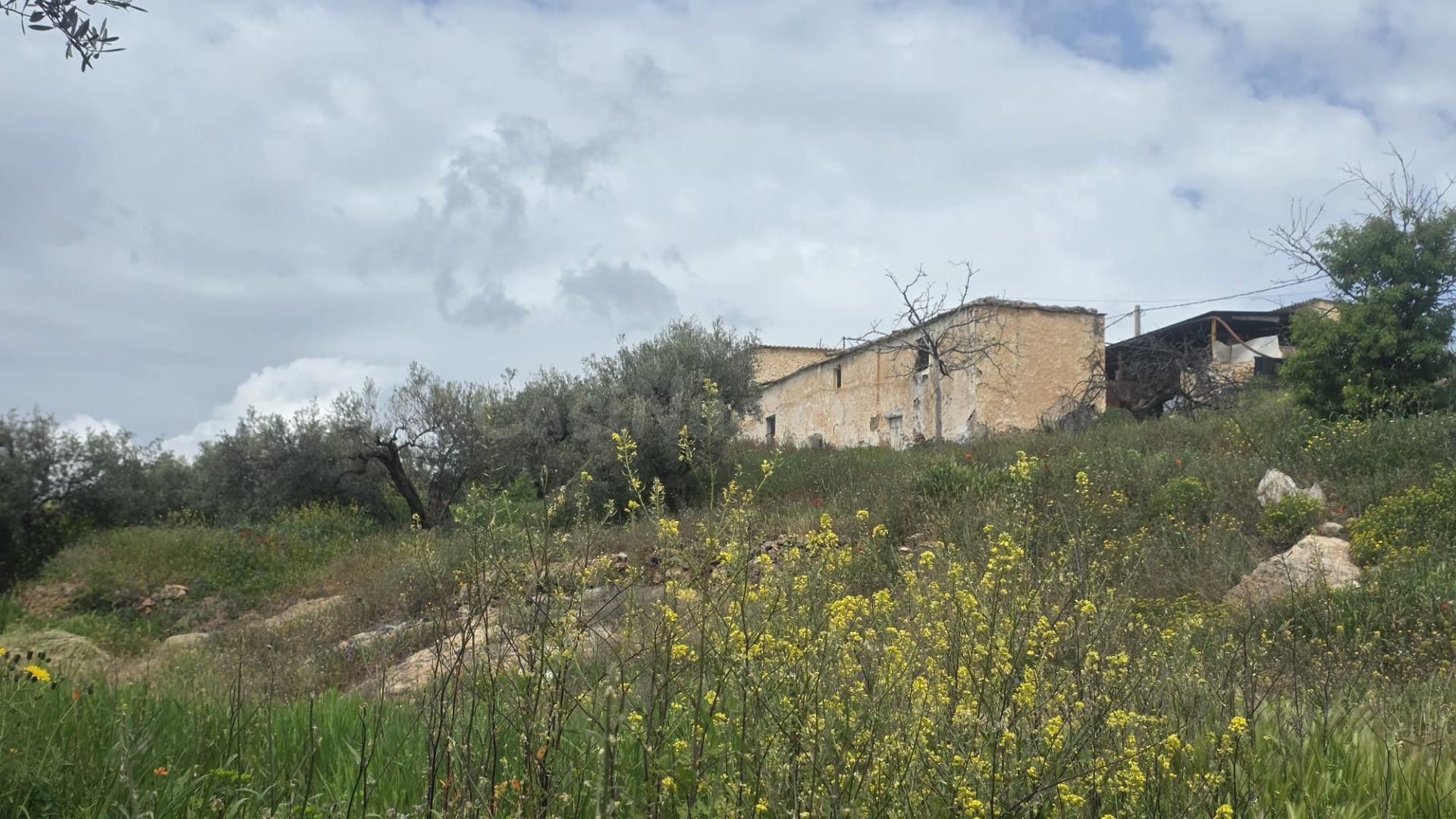 CORTIJO EL VISILLO - foto 5