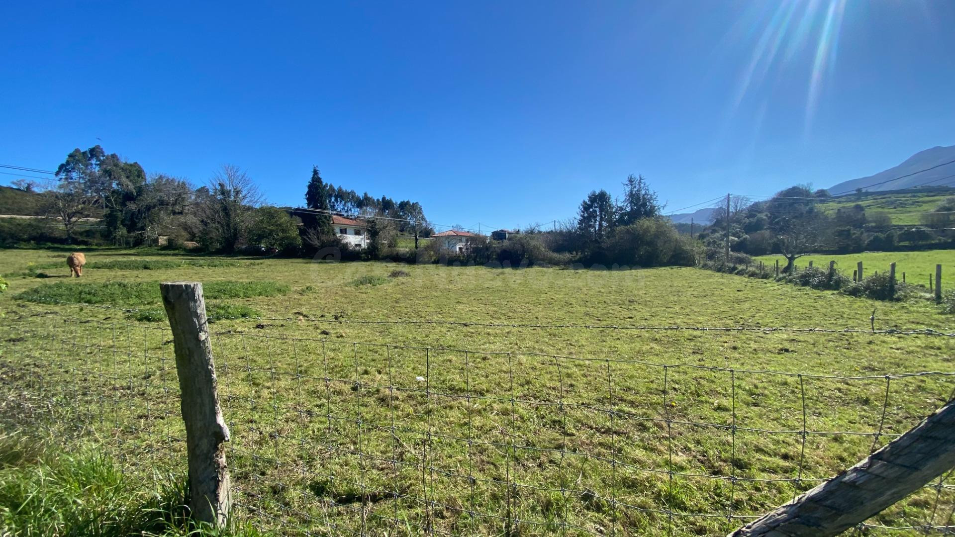 TERENO RUSTICO EN RIBADESELLA - foto 4