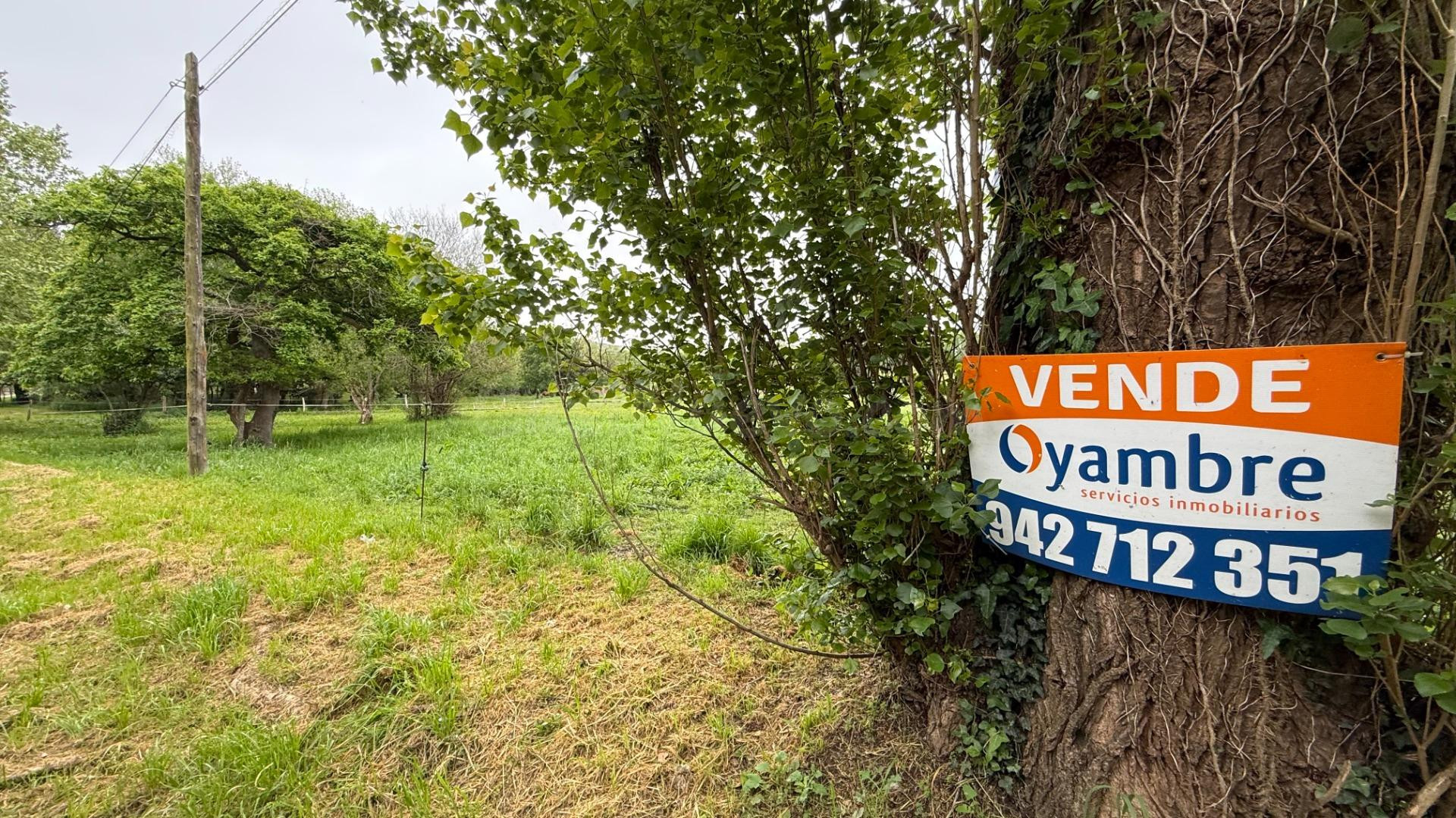 SUELO URBANO EN RIBAMONTANA DEL MAL