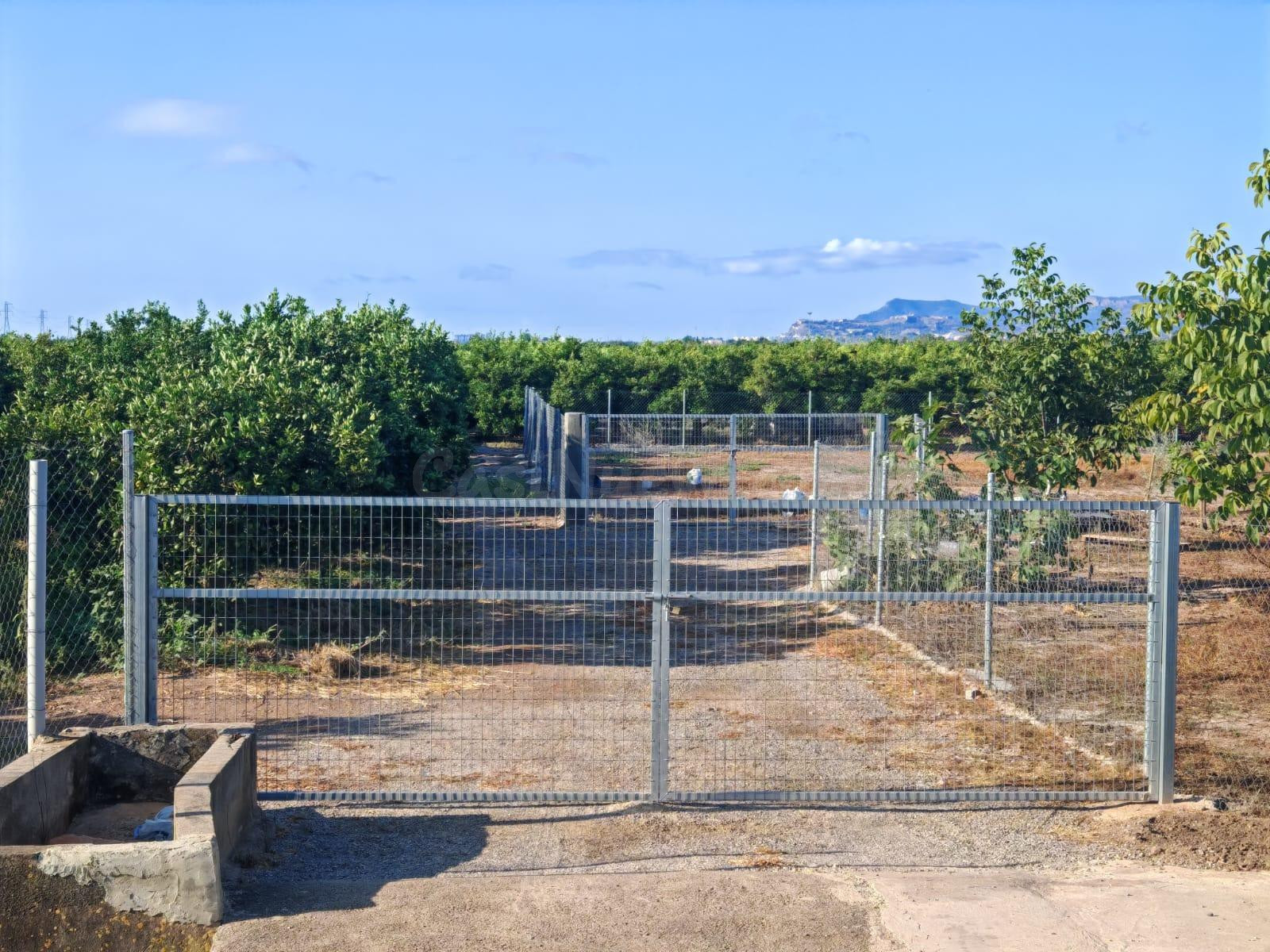 Terreno de cultivo con arboles frutales variados parcela 286 - foto 2