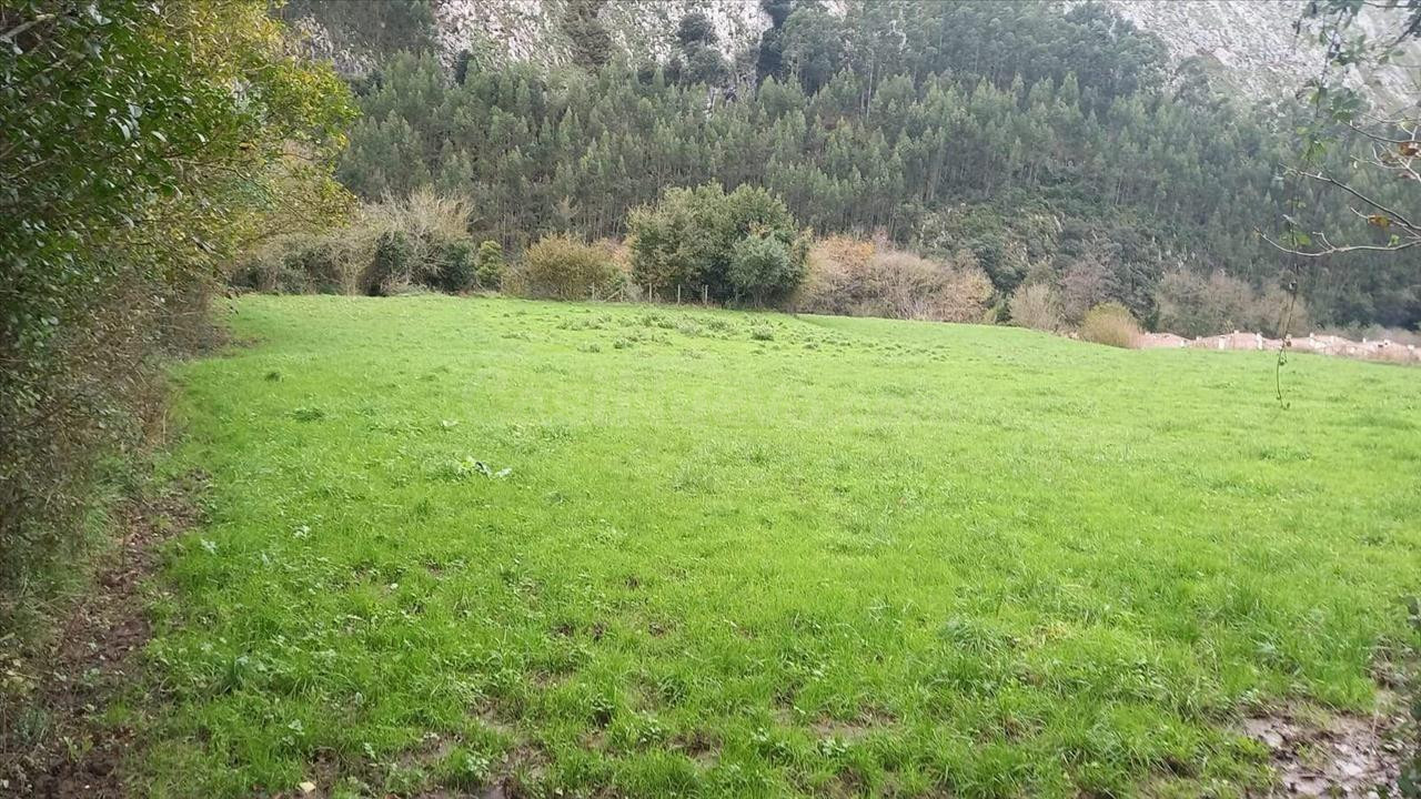 Terreno urbano en venta - Otañes - foto 2