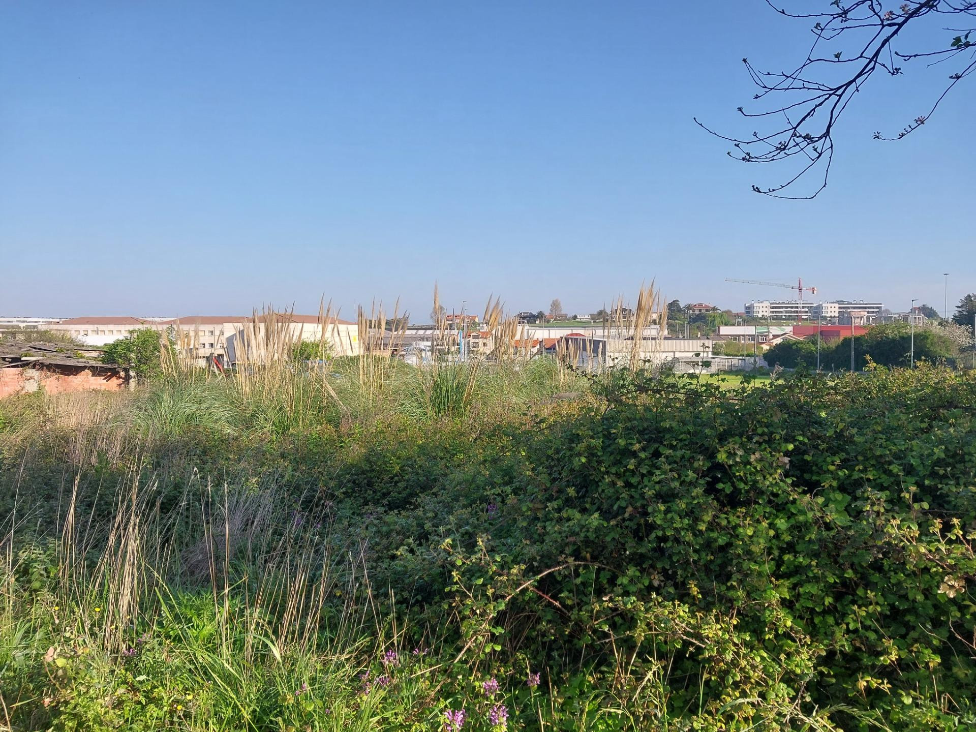 Terreno urbano en venta - General-davila
