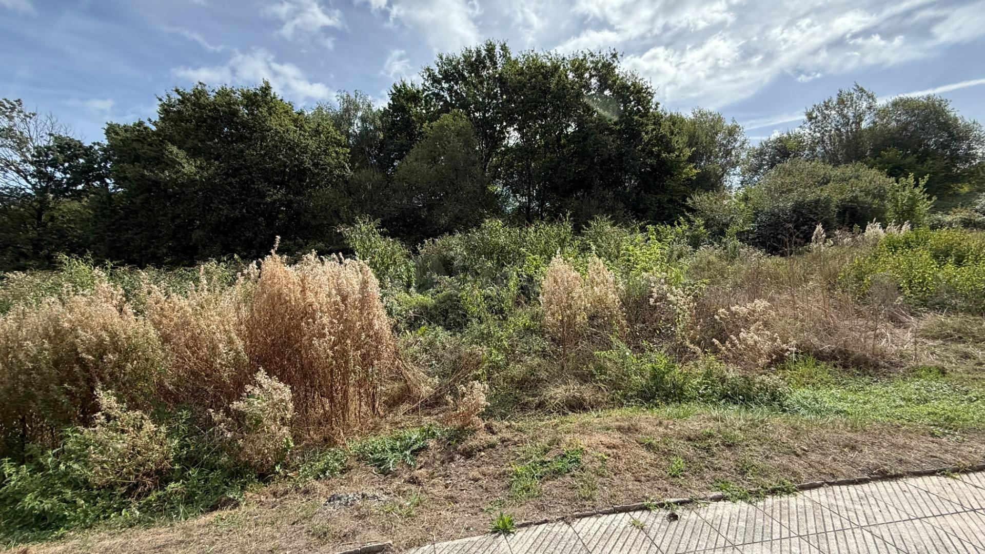 Terreno urbano en venta - San Lazaro-Otero-Villafría