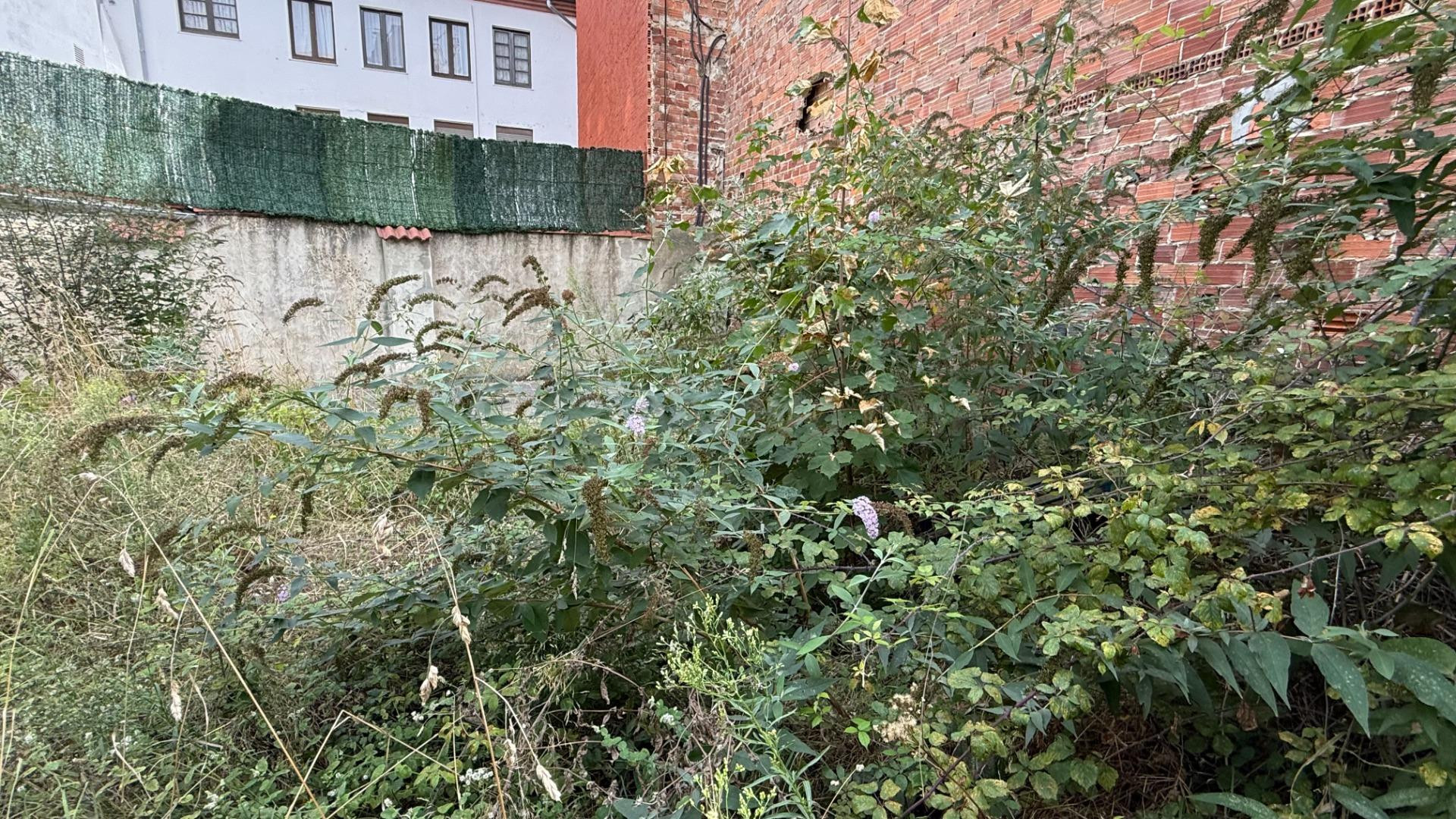 Terreno urbano en venta - Blimea - foto 5