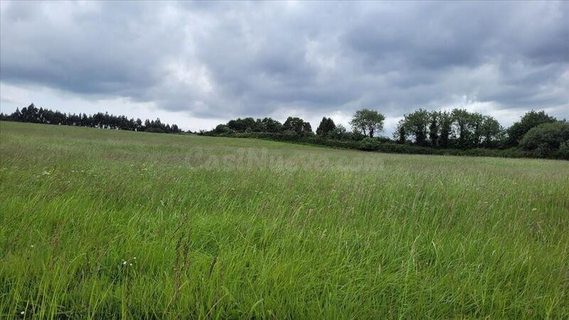 Terreno industrial en venta - Northern spain - foto 2