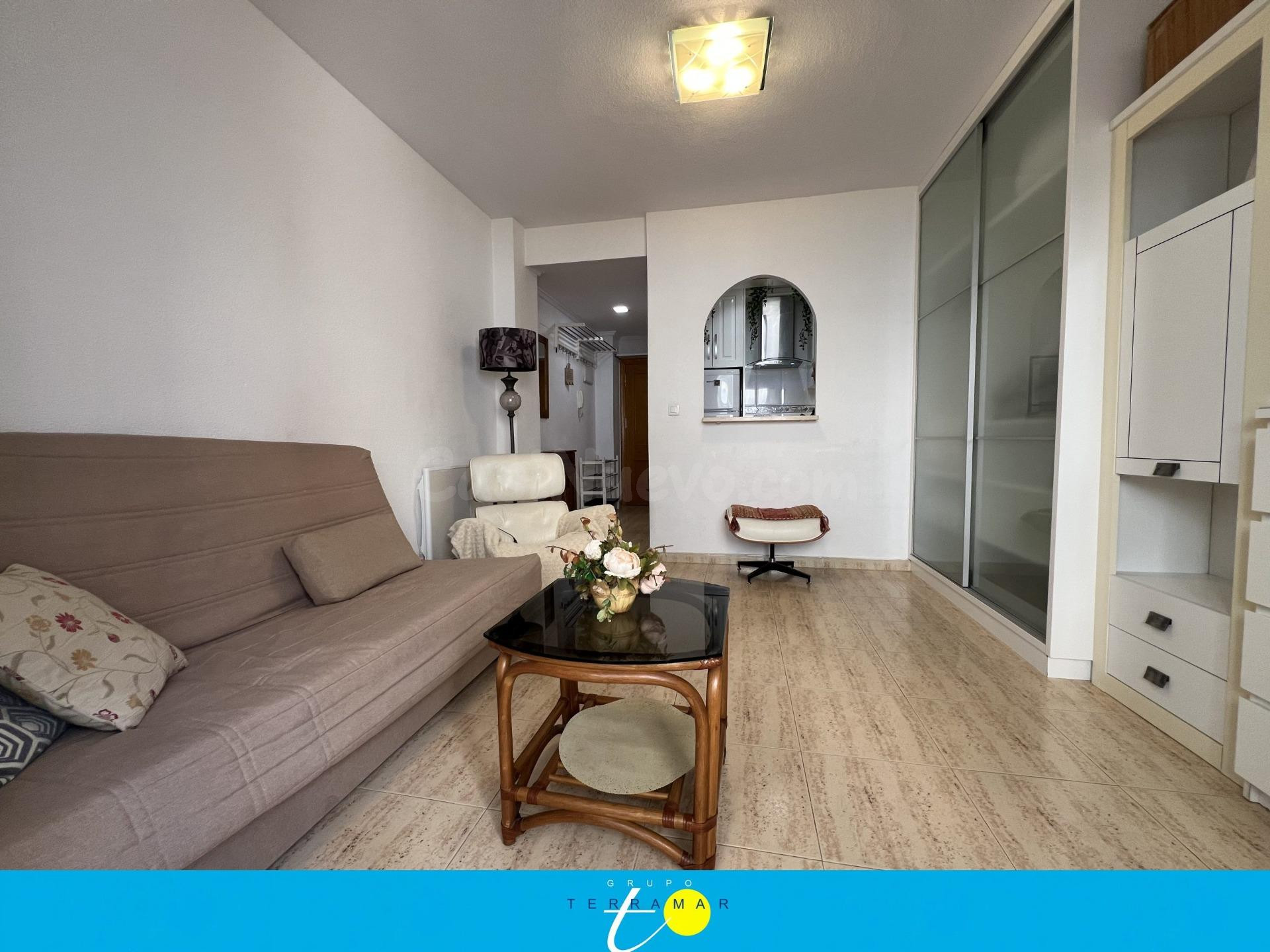 ESTUPENDO ESTUDIO PARA SUS EPOCAS ESTIVALES, IDONEO PARA PAR - foto 5