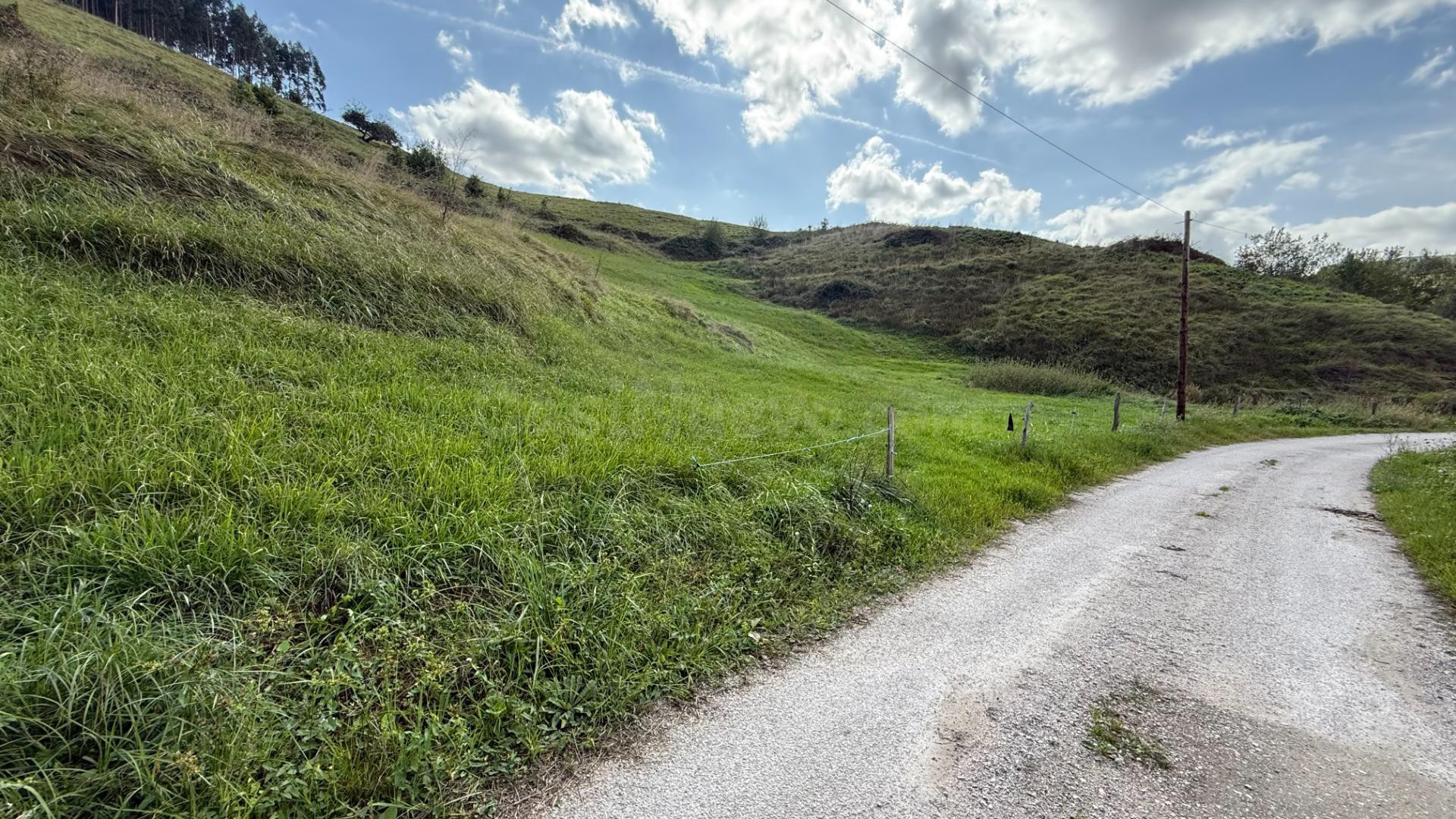 Terreno rural en venta - Pesues - foto 2
