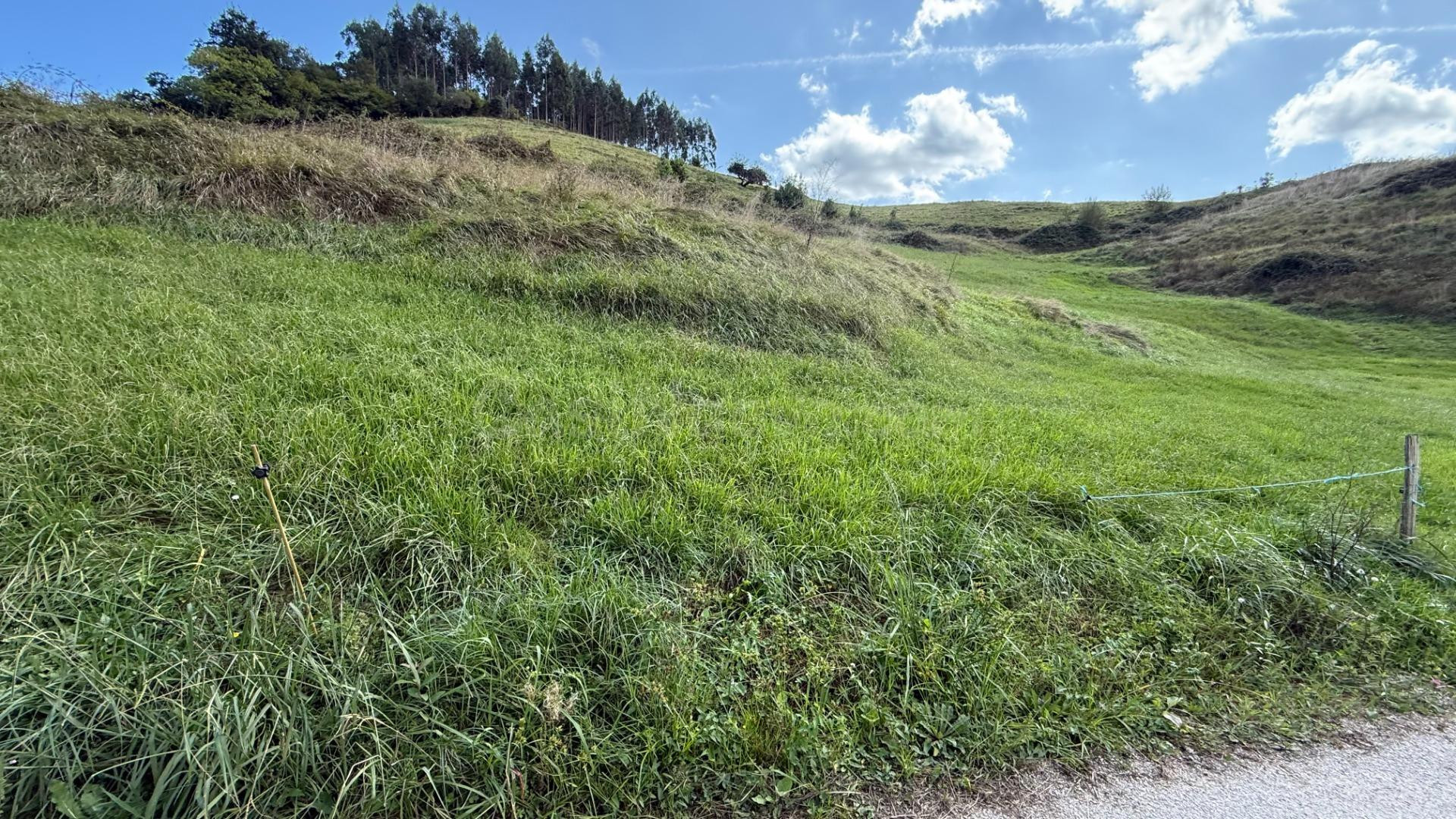Terreno rural en venta - Pesues - foto 3