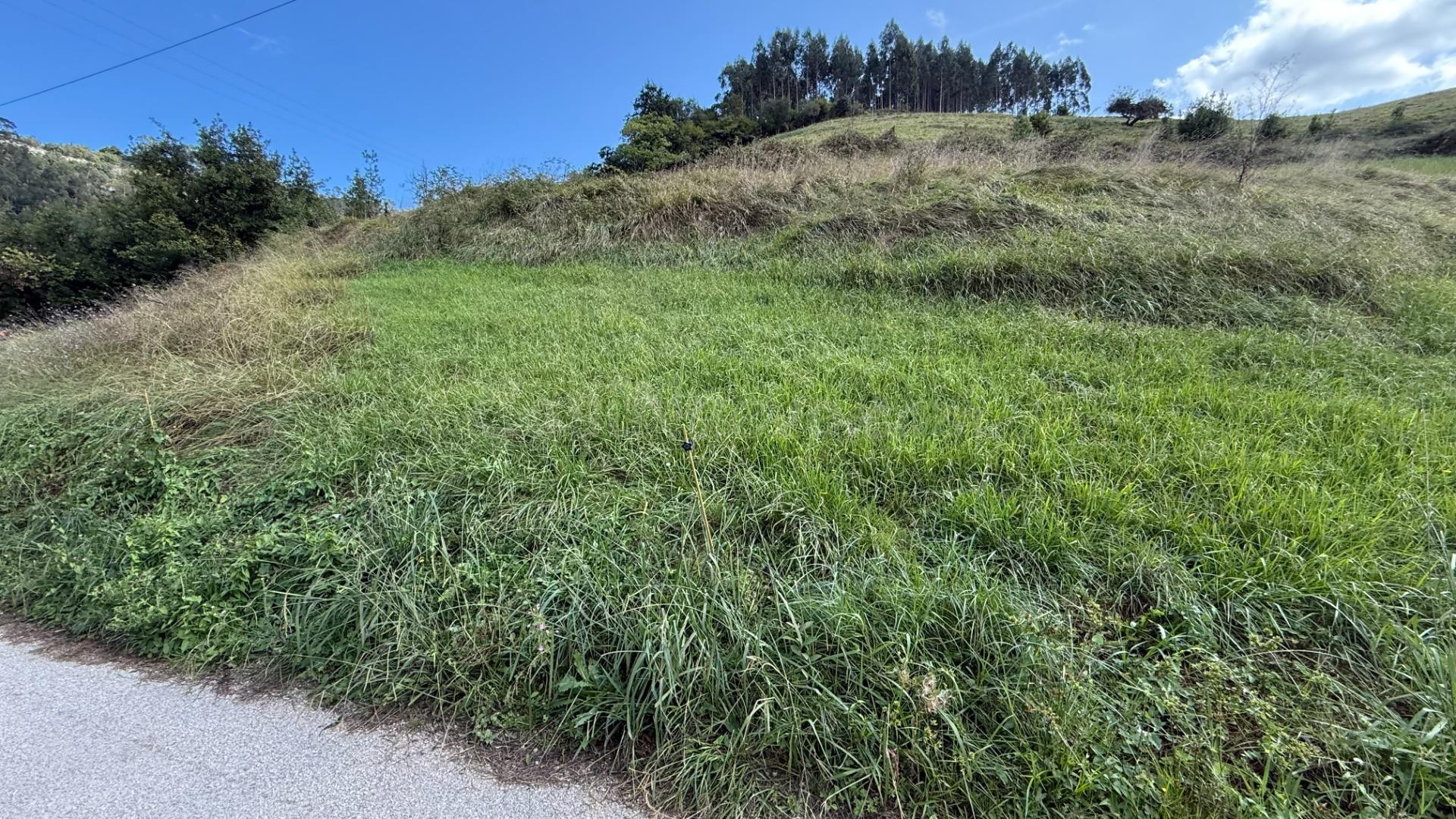 Terreno rural en venta - Pesues - foto 4
