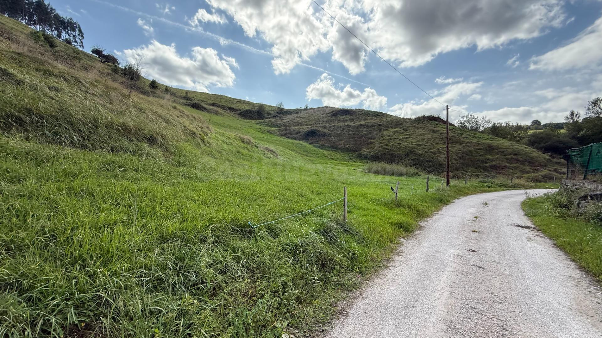 Terreno rural en venta - Pesues - foto 5