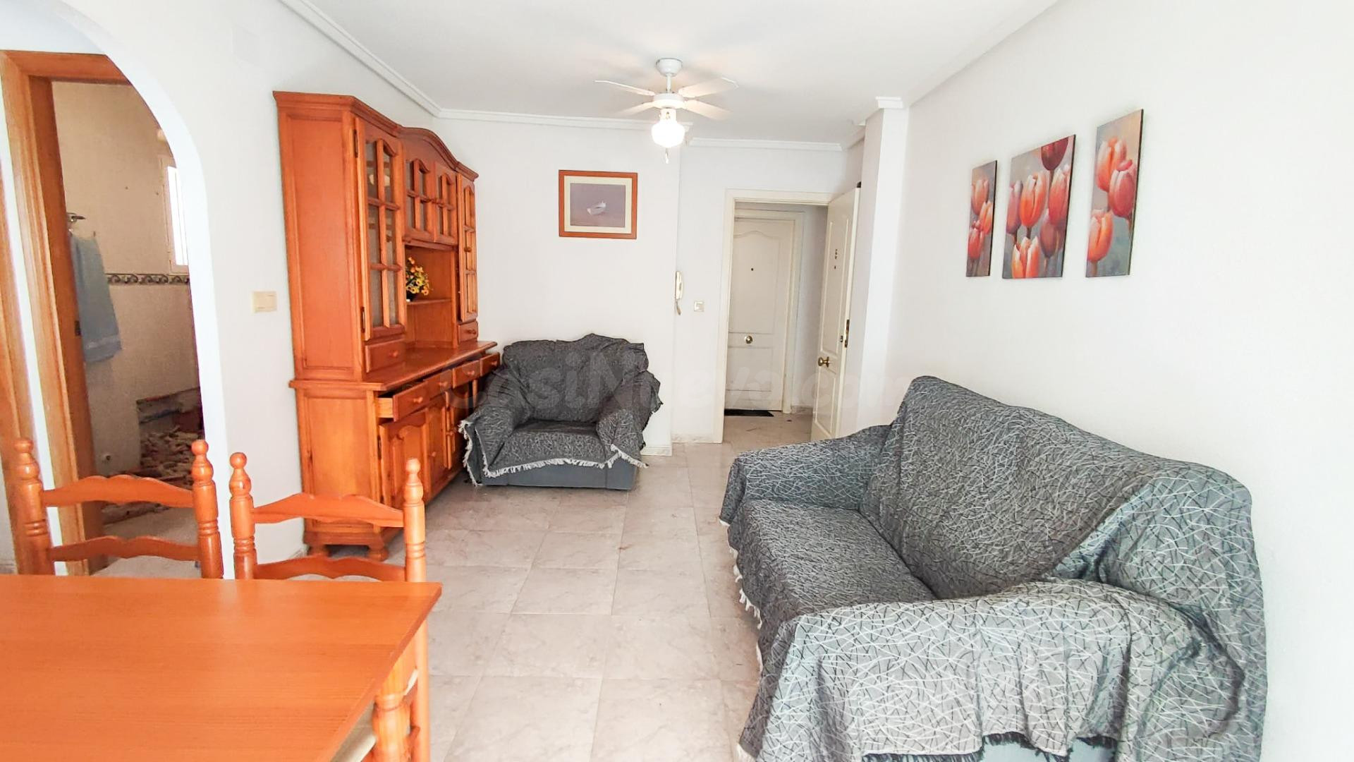 APARTAMENTO DE 2 DORMITORIOS 1 BAÑO EN TORREVIEJA (PLAYA DEL - foto 5