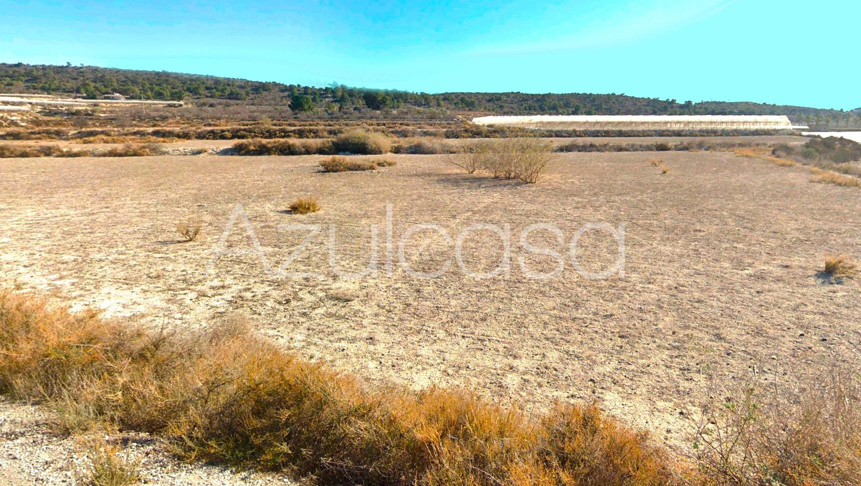 Finca rústica de 3,5 hectáreas junto Alenda Golf - foto 3