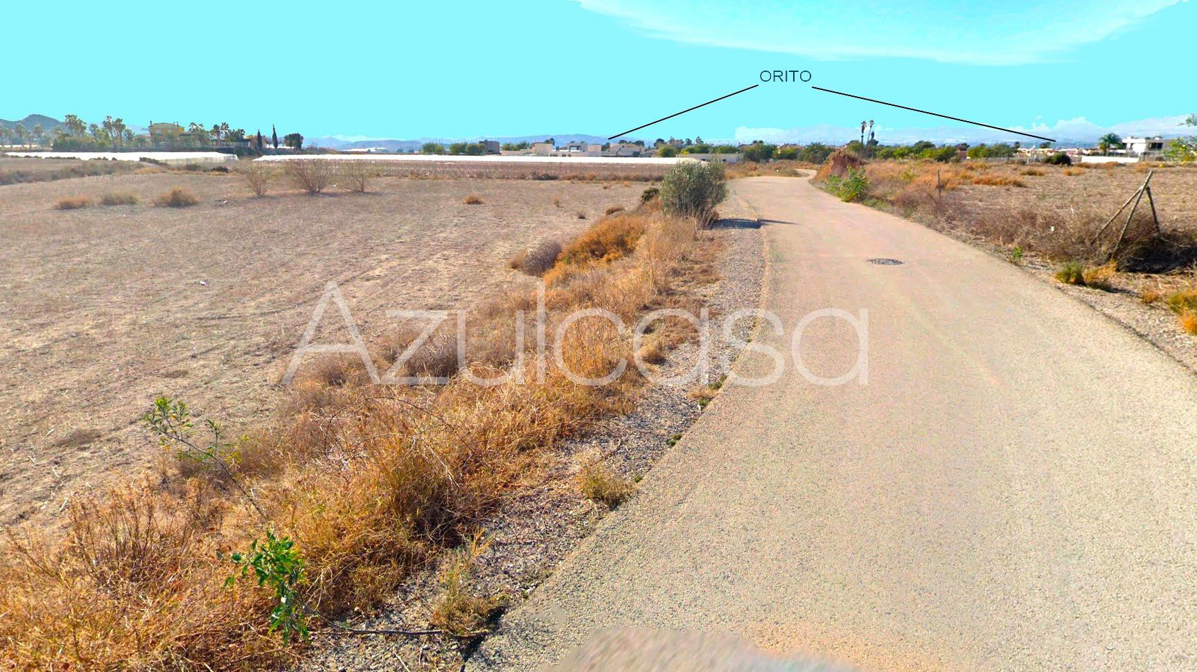 Finca rústica de 3,5 hectáreas junto Alenda Golf - foto 4