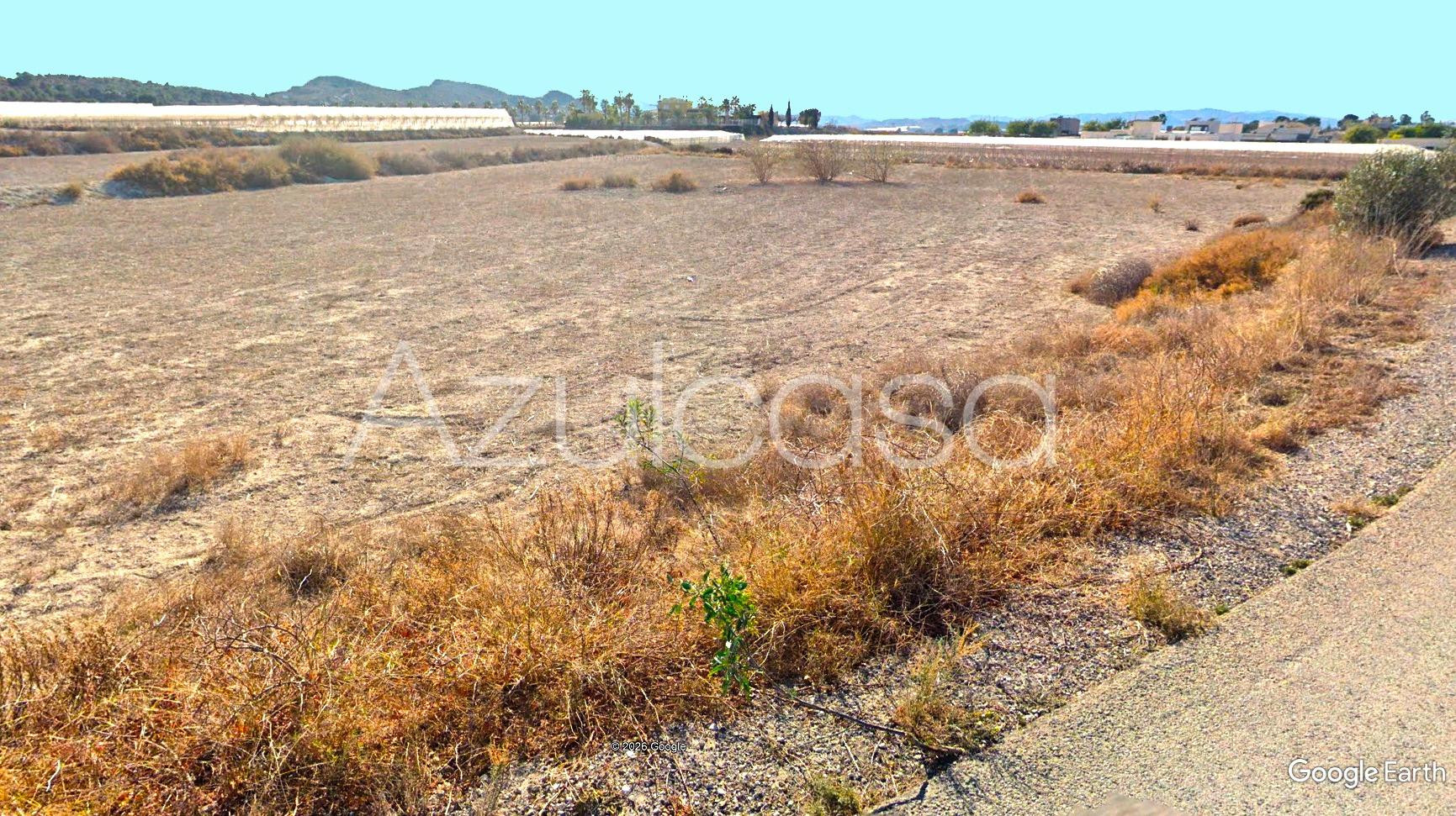 Finca rústica de 3,5 hectáreas junto Alenda Golf - foto 5