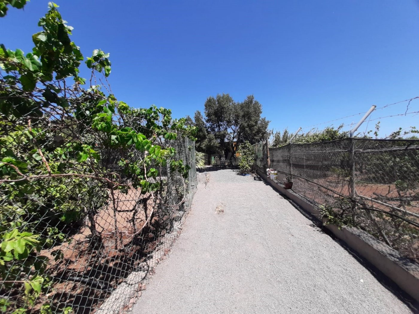 FINCA RUSTICA CON DOS APARTAMENTOS