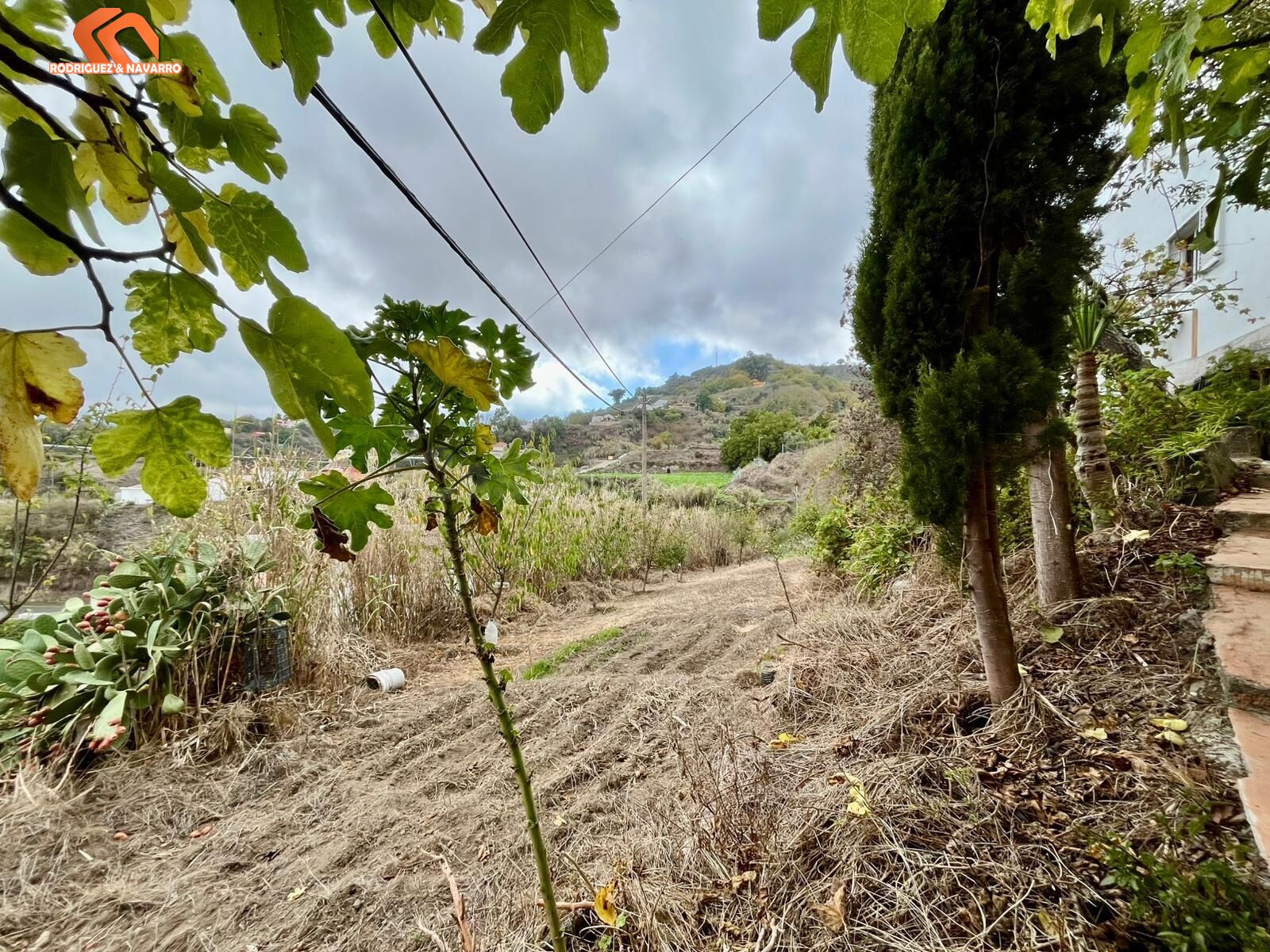 Oportunidad única: Dos viviendas independientes en una finca - foto 2