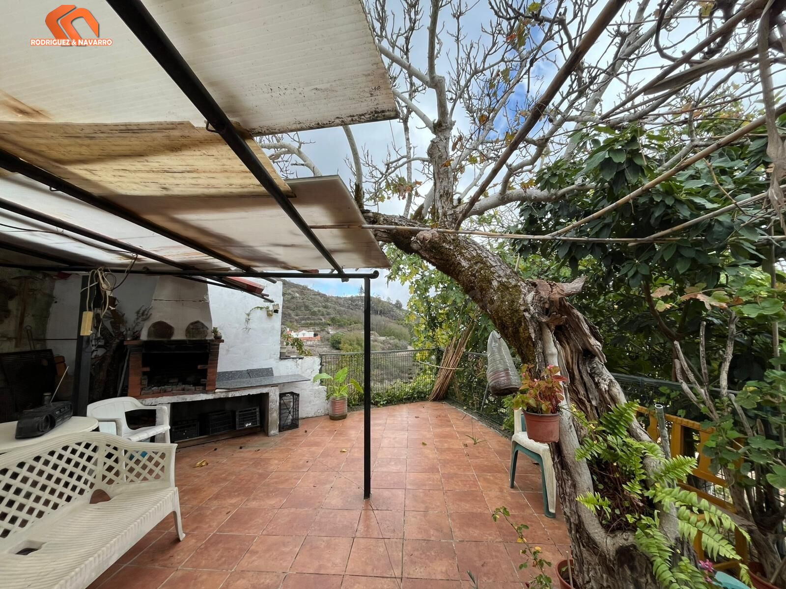 Oportunidad única: Dos viviendas independientes en una finca - foto 3