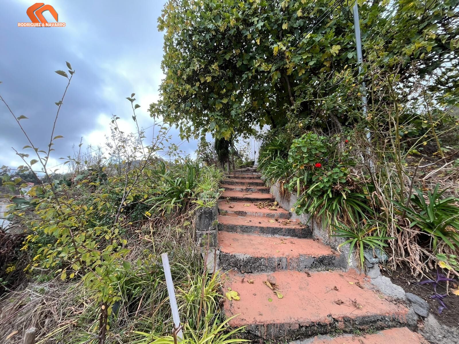 Oportunidad única: Dos viviendas independientes en una finca - foto 4