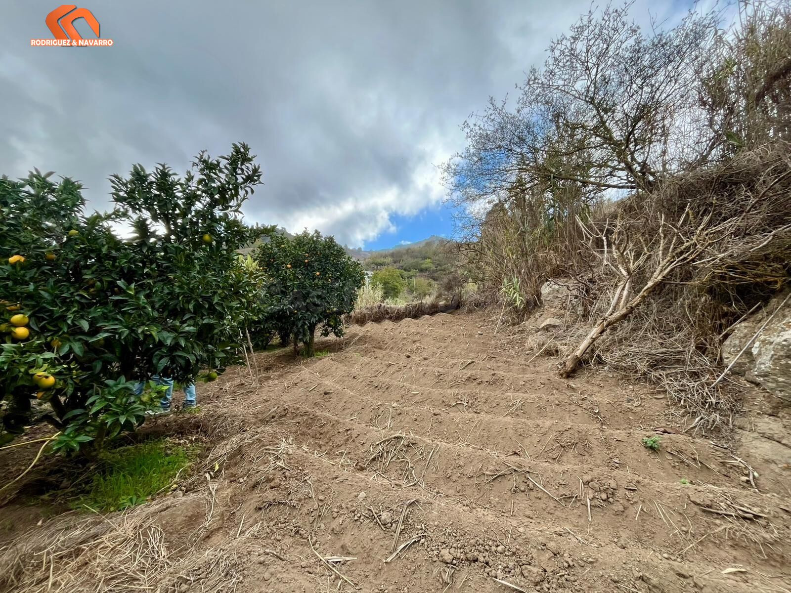 Oportunidad única: Dos viviendas independientes en una finca - foto 5