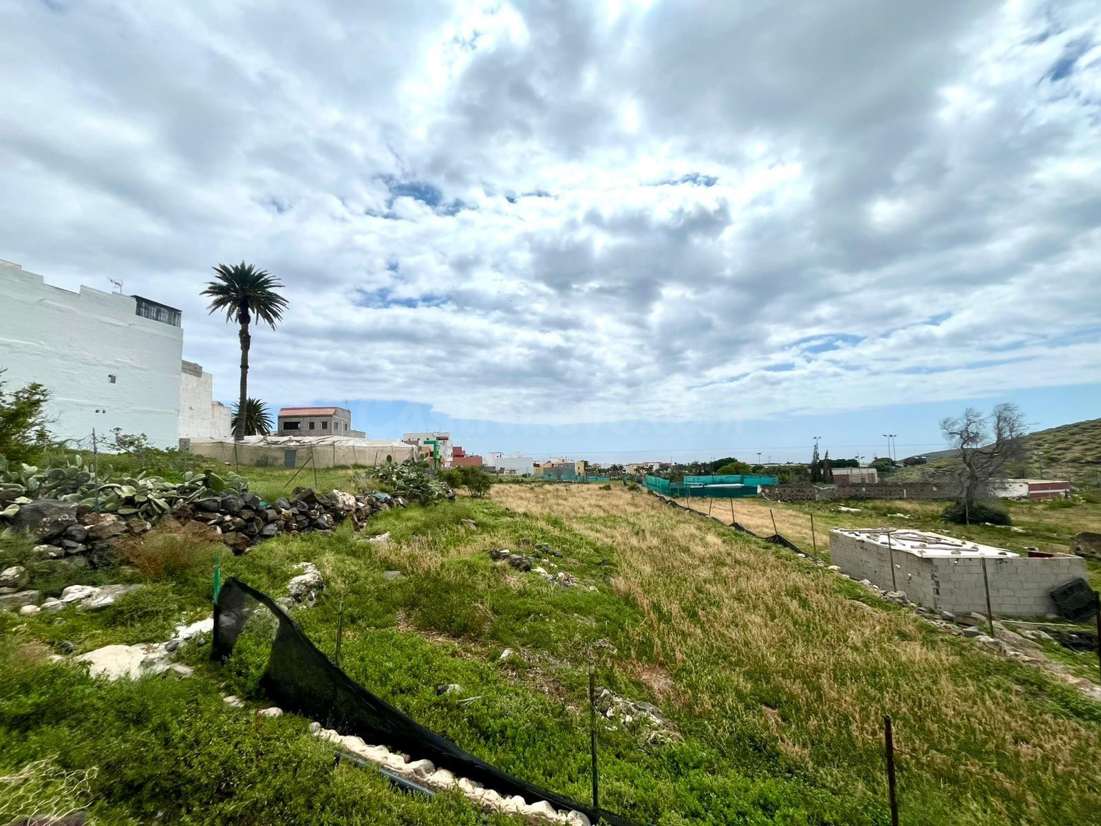 Solar en venta de 1136,68 m2 en Carrizal