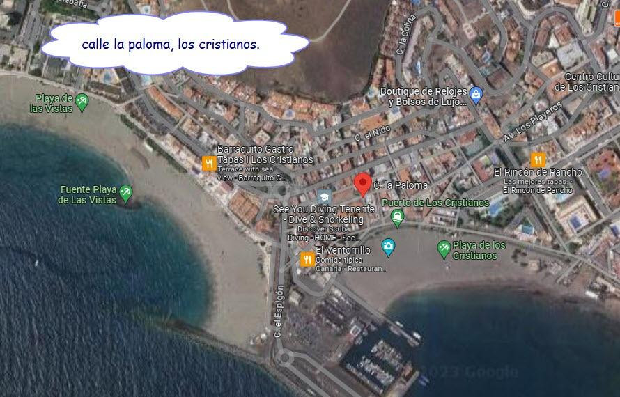 Los Cristianos Piso 2 habitaciones a 100 metros del mar con  - foto 3