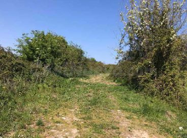 Terreno rural 2065m² en venta - Castiello - Bernueces - foto 4