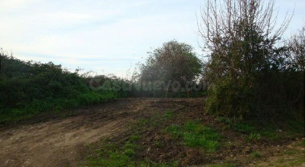 Terreno rural 2065m² en venta - Castiello - Bernueces - foto 5