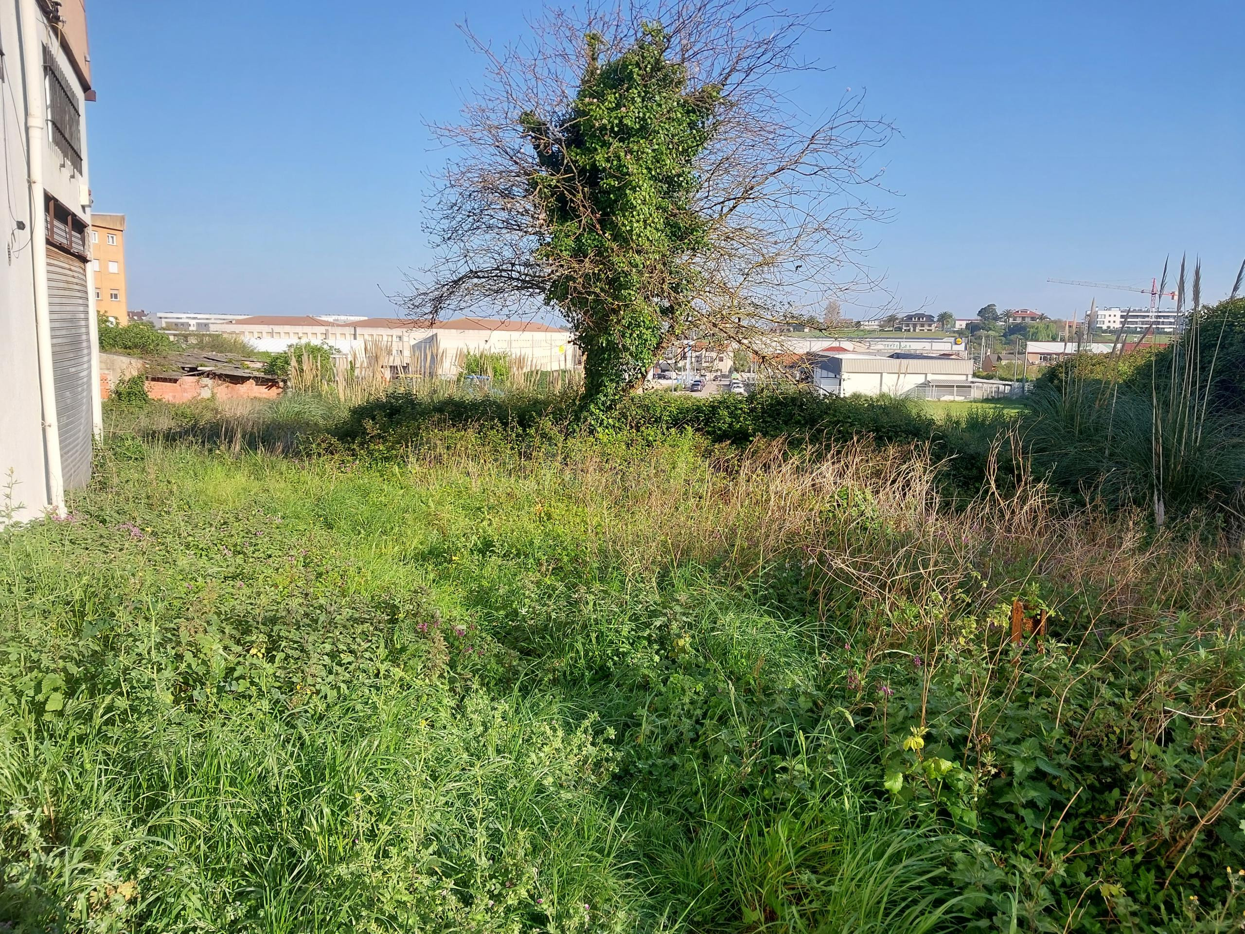 Terreno urbanizable 752m² en venta - Alisal - Cazoña - San R - foto 3