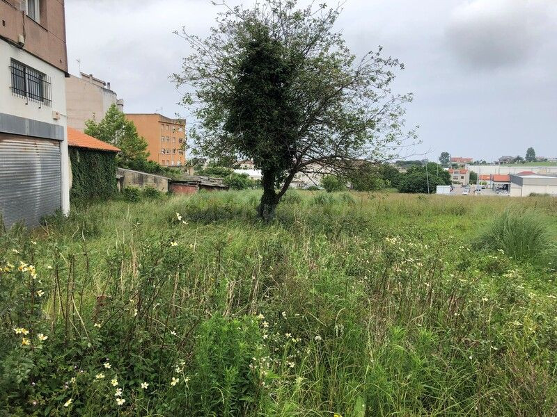 Piso 727m² en venta - Alisal - Cazoña - San Román - foto 2
