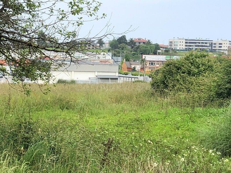 Piso 727m² en venta - Alisal - Cazoña - San Román - foto 5