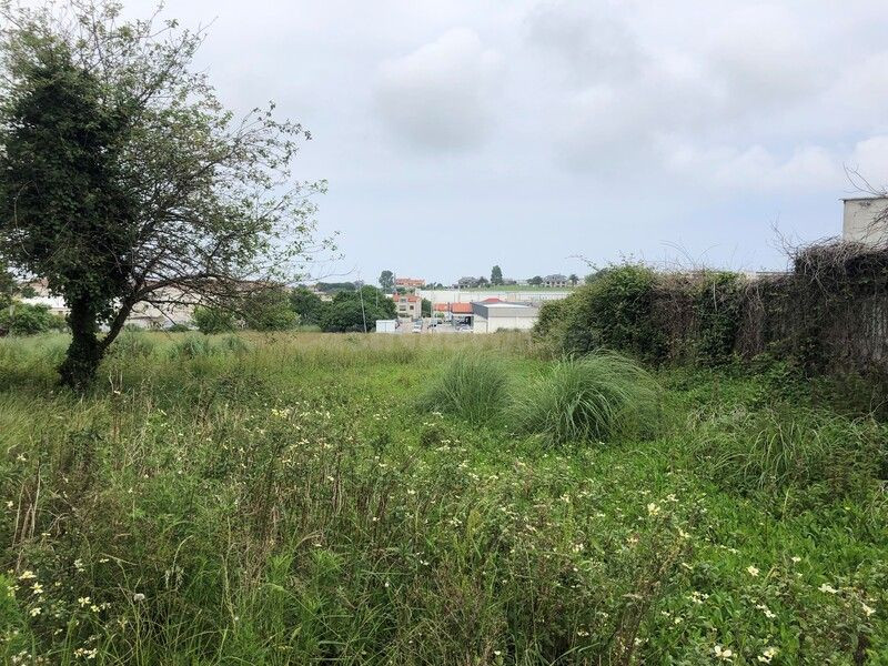 Piso 562m² en venta - Alisal - Cazoña - San Román - foto 5
