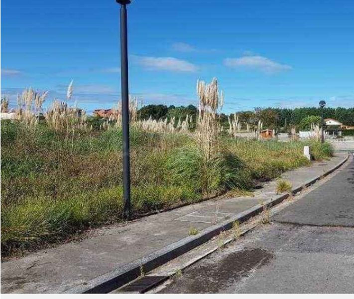 Piso 2989m² en venta - Arce - foto 4