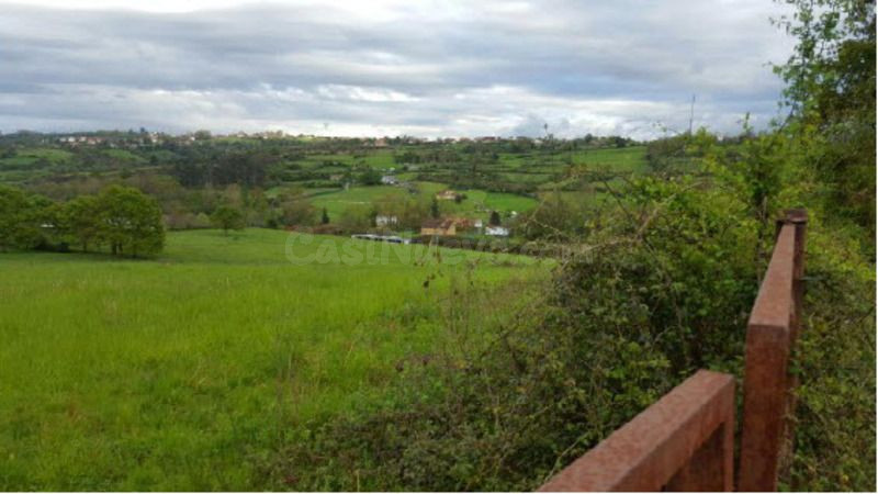Piso 13668m² en venta - San Claudio-Trubia-Las Caldas - foto 2