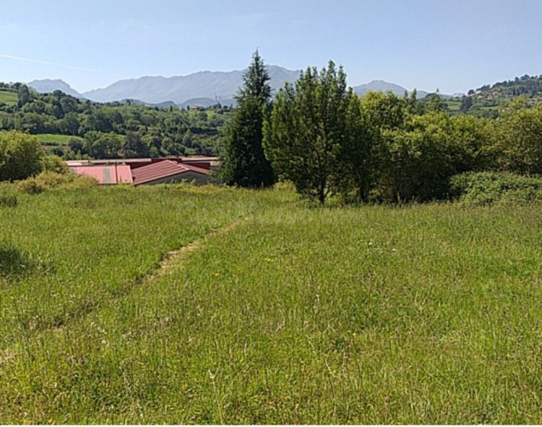Piso 14456m² en venta - San Claudio-Trubia-Las Caldas - foto 4