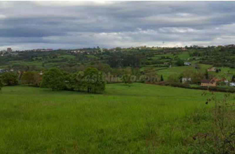 Piso 14456m² en venta - San Claudio-Trubia-Las Caldas - foto 5