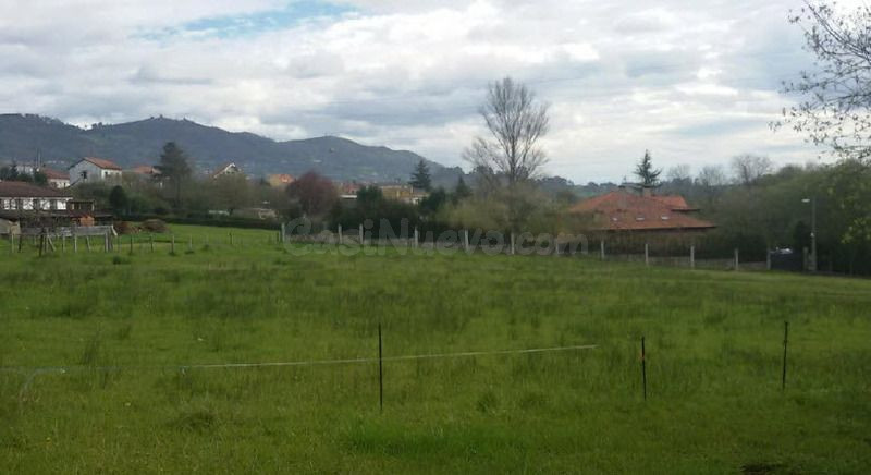 Piso 1362m² en venta - San Claudio-Trubia-Las Caldas - foto 5