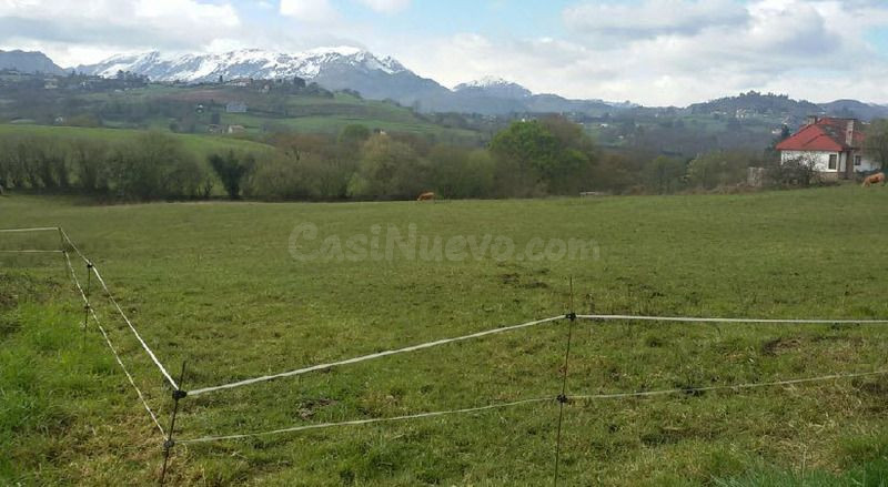 Piso 8075m² en venta - San Claudio-Trubia-Las Caldas