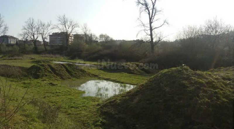 Piso 2270m² en venta - Corredoria-La Carisa-Prado de La Vega - foto 4