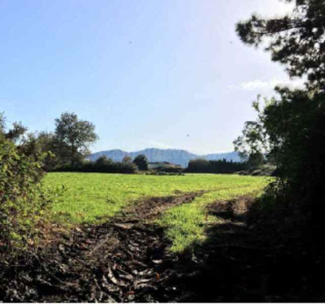 Piso 1780m² en venta - Costa verde - foto 3
