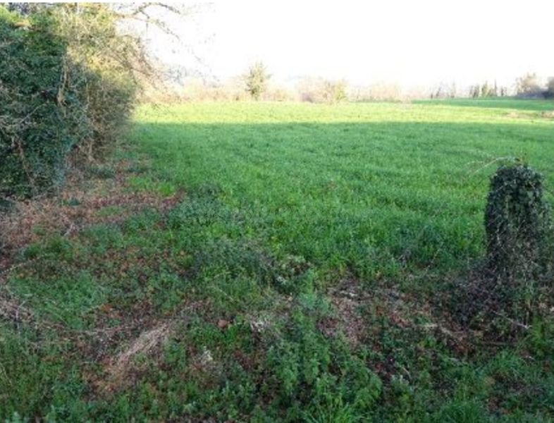 Piso 9560m² en venta - Tanos - foto 5