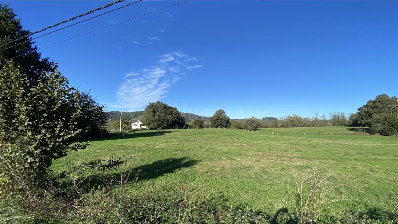 Terreno urbanizable 5518m² en venta - Tanos - foto 3