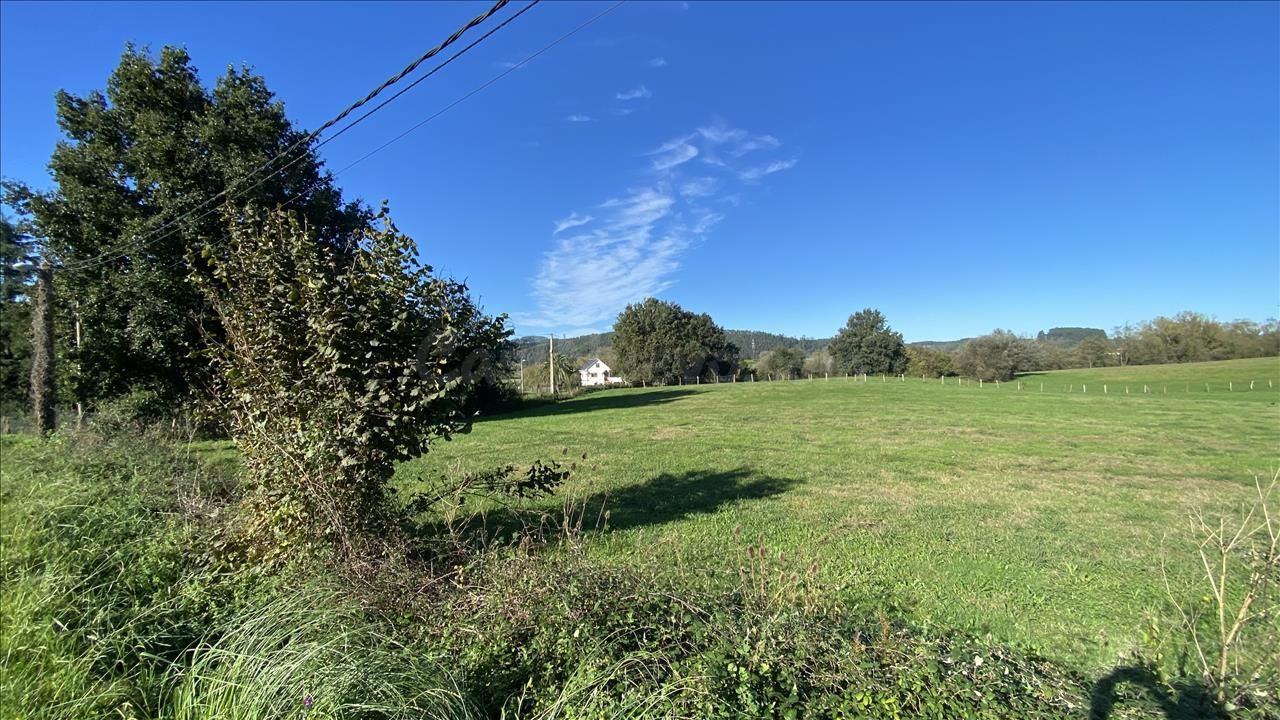 Terreno urbanizable 5518m² en venta - Tanos - foto 5