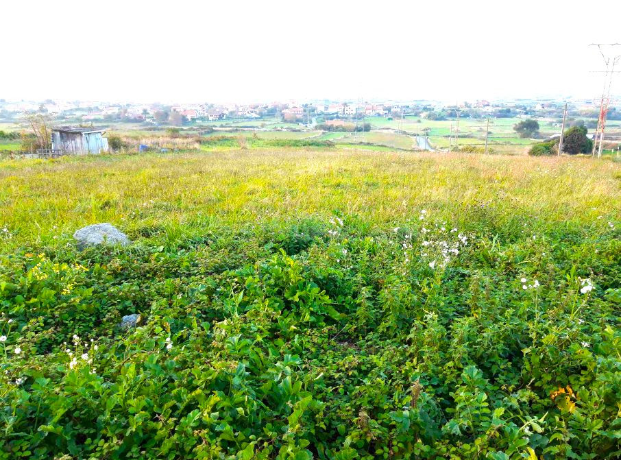 Piso 1498m² en venta - Monte - foto 4