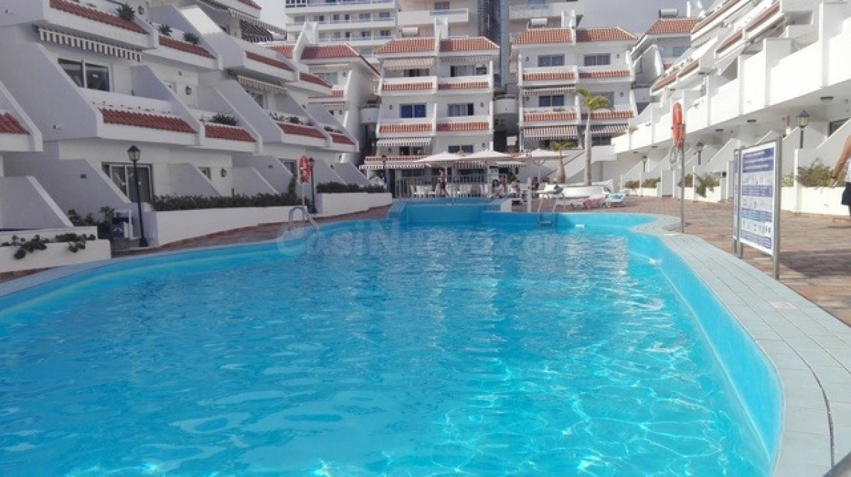Las Americas. Piso 1 habitación en complejo cerrado de calid - foto 4