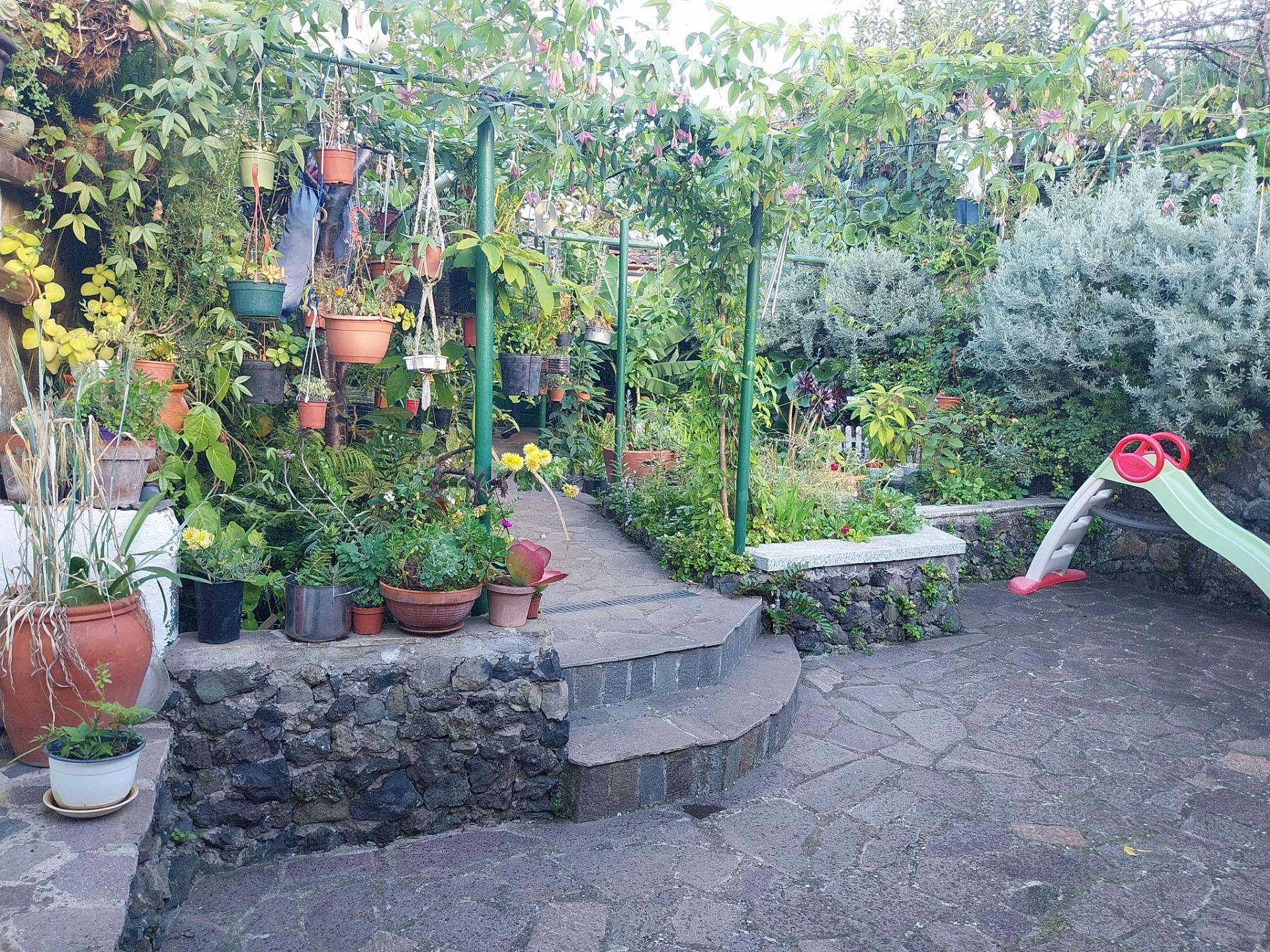 El Amparo (Icod): Se vende estupenda casa rural en muy buen  - foto 5