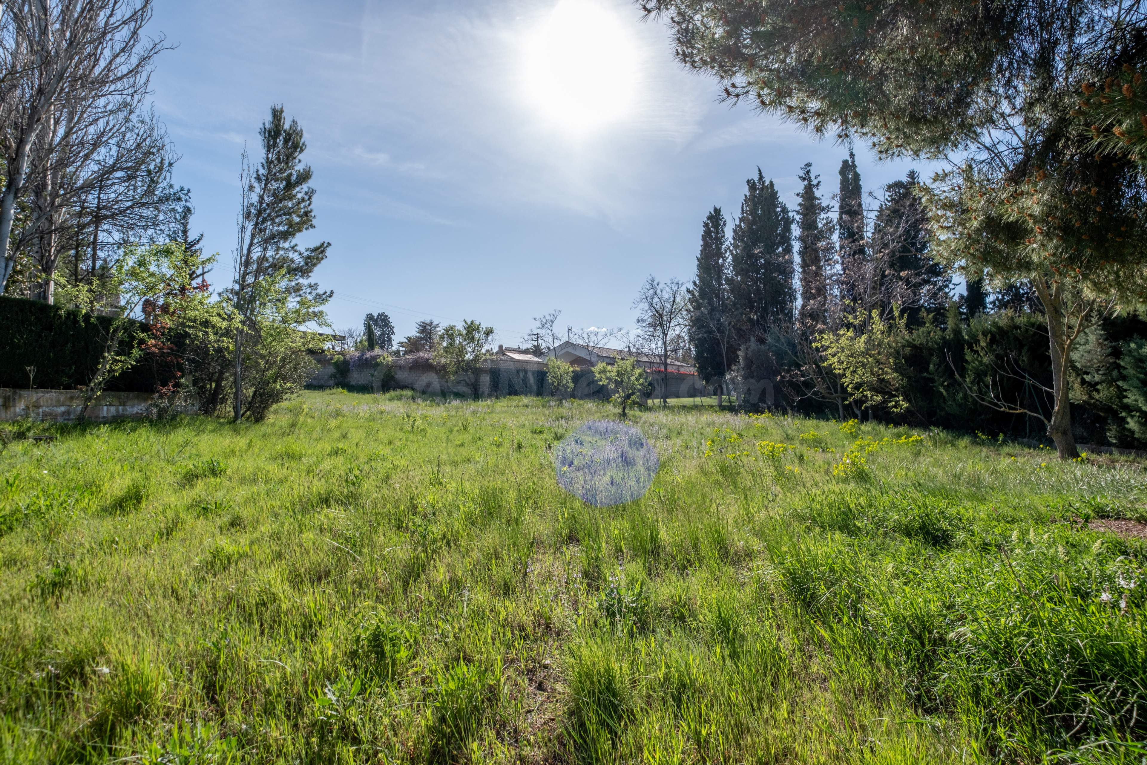 Exclusiva Parcela de 1868 m2 en Urbanización Torre Barajas:  - foto 5
