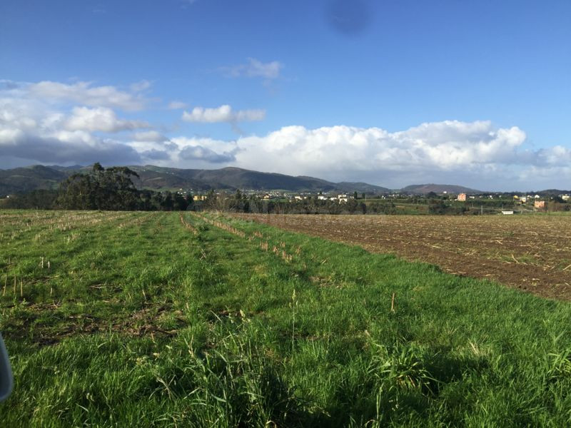 Piso 1260m² en venta - Costa verde - foto 3