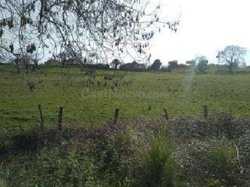 Piso 200m² en venta - Fozaneldi-Tenderina - foto 3