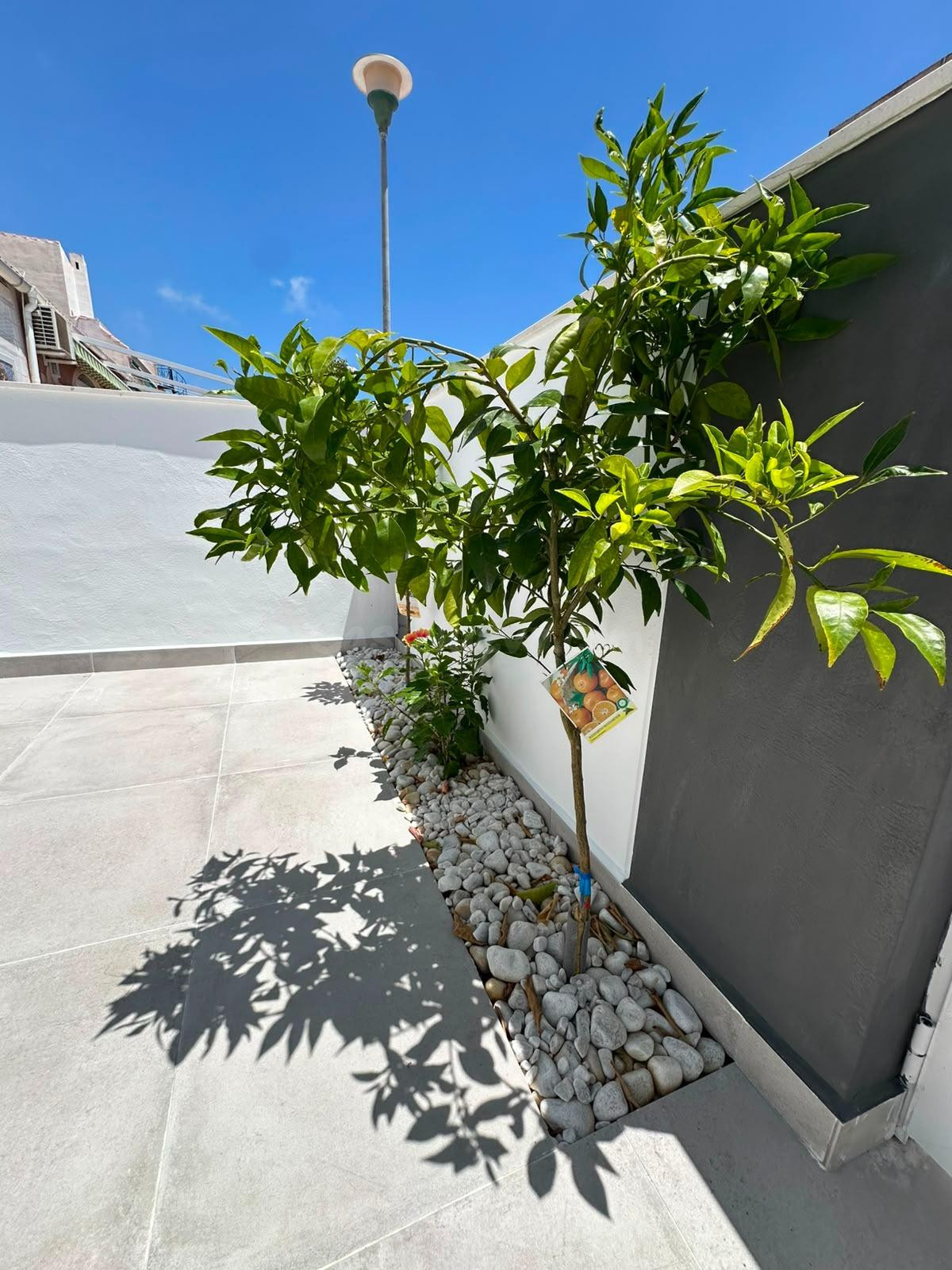 FANTASTICO BUNGALOW TOTALMENTE REFORMADO, IDEAL PARA PAREJAS - foto 3