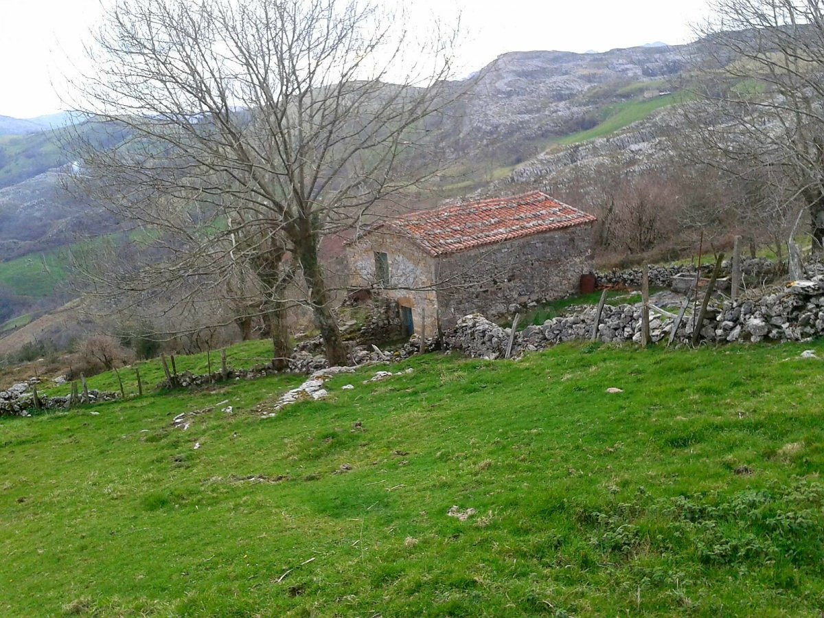SE VENDE FINCA RUSTICA DE 14,000 METROS CON CABAÑA,